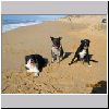 Beach House Easter 2005_006.jpg